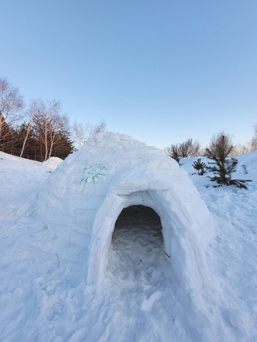 На Лысой горе появилось около двух десятков снежных домов: в Саратове прошел фестиваль по строительству иглу На Лысой горе появилось около двух десятков снежных домов: в Саратове прошел фестиваль по строительству иглу