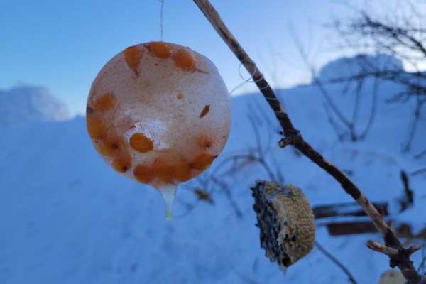 На Лысой горе появилось около двух десятков снежных домов: в Саратове прошел фестиваль по строительству иглу На Лысой горе появилось около двух десятков снежных домов: в Саратове прошел фестиваль по строительству иглу