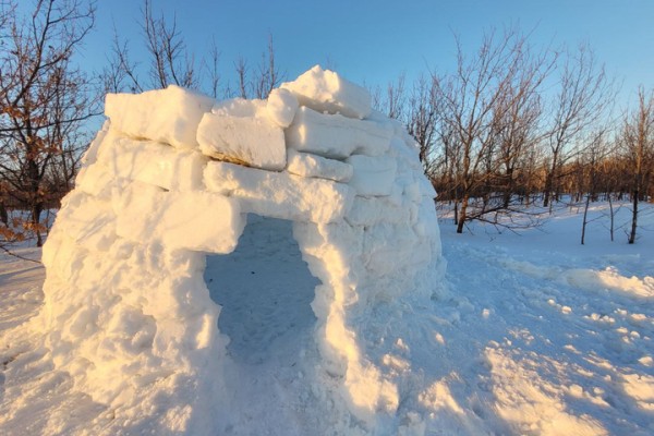 На Лысой горе появилось около двух десятков снежных домов: в Саратове прошел фестиваль по строительству иглу На Лысой горе появилось около двух десятков снежных домов: в Саратове прошел фестиваль по строительству иглу