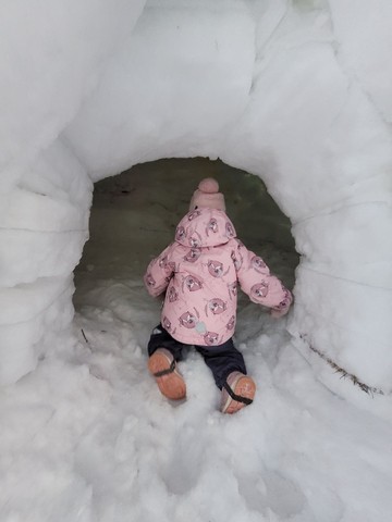 На Лысой горе появилось около двух десятков снежных домов: в Саратове прошел фестиваль по строительству иглу На Лысой горе появилось около двух десятков снежных домов: в Саратове прошел фестиваль по строительству иглу