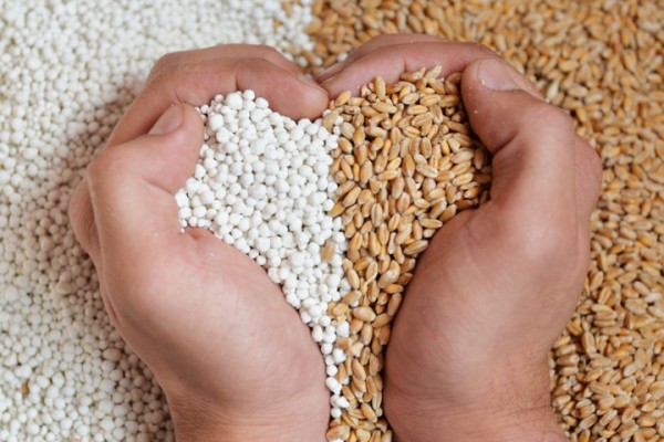 Производители закрыли 50% от годовой потребности аграриев в удобрениях