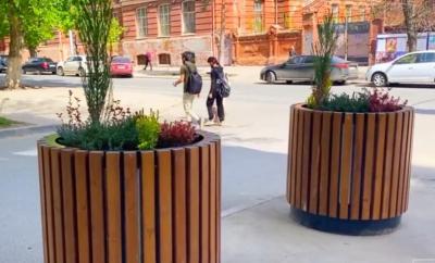 
Вазоны с соснами и барбарисом поставили в Октябрьском районе					