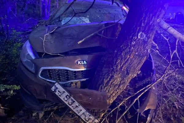 На Кумысной поляне иномарка врезалась в дерево