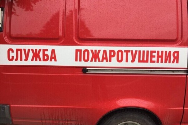 На пожаре в Энгельсском районе погиб дачник