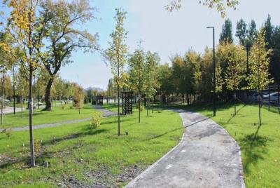 
В Саратове 15 скверов и парков выиграли в голосовании для благоустройства					