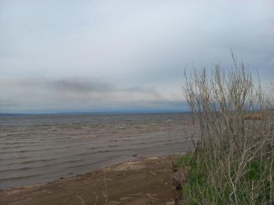 
На заполнение прудов в Саратовской области придется тратить средства резервного фонда 					