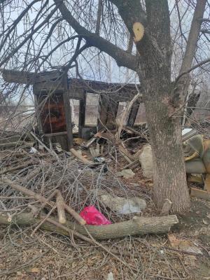 
Саратовцы десять лет живут по соседству со стихийной свалкой					