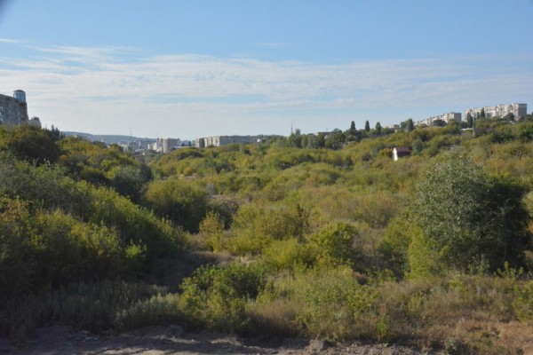 Синоптики обещают жителям региона жару до +28 градусов