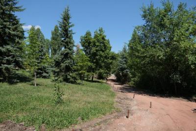 
В Саратове началось благоустройство Парка Победы					