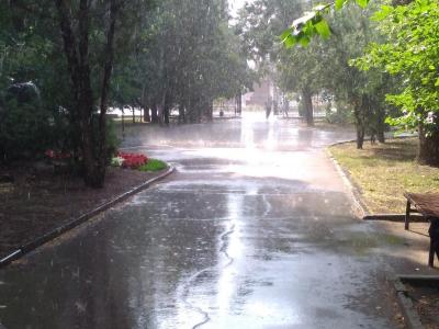 
В Саратовской области на этой неделе - жара до +36 градусов, ливни и грозы					