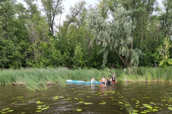 Шестеро сапбордистов, среди которых были дети, застряли на острове: им потребовалась помощь спасателей