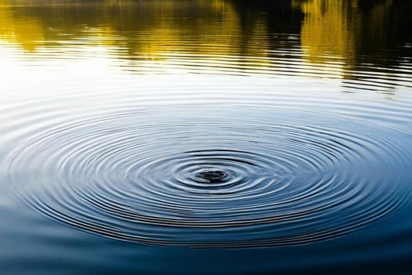 В Саратовской области пополнился список утонувших: погиб молодой мужчина В Саратовской области пополнился список утонувших: погиб молодой мужчина