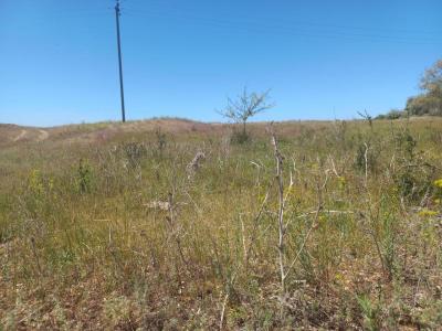 Непрекращающаяся жара в Саратовской области принесла с собой засуху на полях
Непрекращающаяся жара в Саратовской области принесла с собой засуху на полях