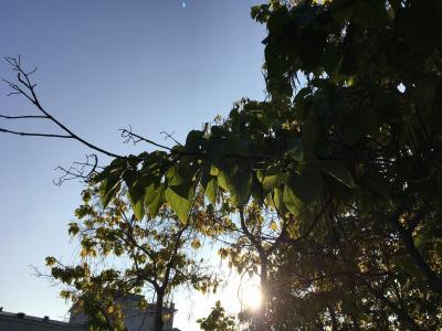 В воскресенье в Саратове будет до +31 градуса
В воскресенье в Саратове будет до +31 градуса