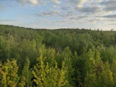 
В Саратовской области 23 беспилотника следят за лесами					