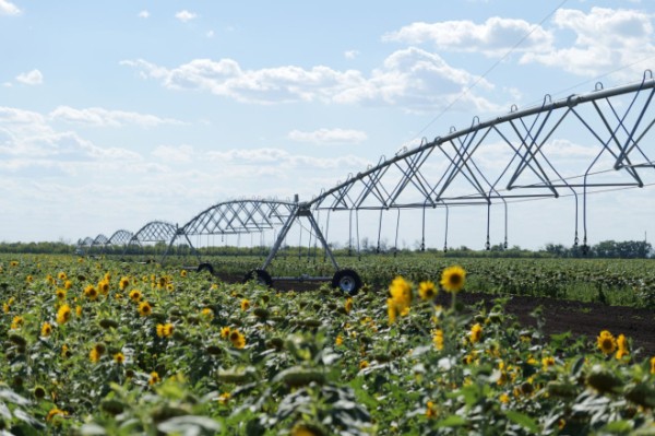 Андрей Разин вместе с губернатором Саратовской области Романом Бусаргиным ознакомился с работой агропредприятия региона