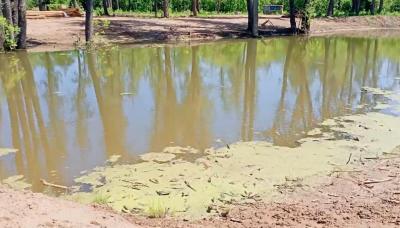 
Росприроднадзор: пока "частники" в Марксе отказываются вернуть водоканал региону, загрязняется Волга 					