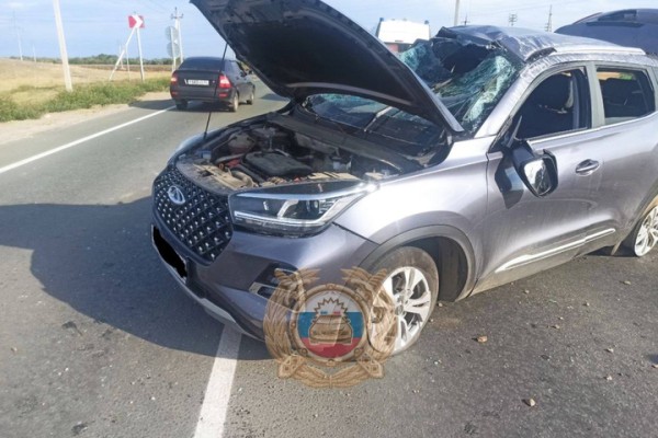 На дороге к саратовскому аэропорту столкнулись две иномарки: травмы получили женщина и девочка