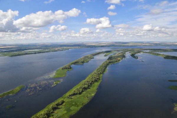 Саратовская область - один из лидеров в Приволжском федеральном округе по выпуску мальков в Волгу