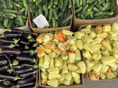 
В Саратове отменили ярмарку выходного дня на Театральной площади					