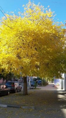 
"Начинается золотая осень": эти выходные в Саратовской области будут последними по-летнему теплыми					