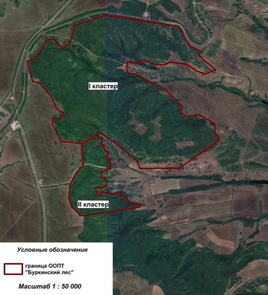 На территории Саратовской области увеличат площадь памятника природы