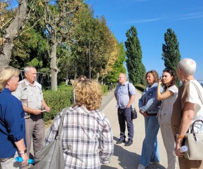
Все ясени на набережной Саратова оказались заражены вредителями					