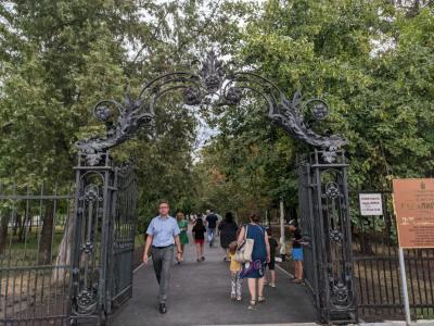 
Миллион рублей на фонтаны, спил деревьев и яркий свет: в Саратове в "Липках" нашли множество нарушений					