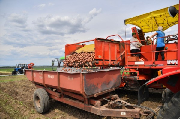 Поздравление губернатора с Днём работника сельского хозяйства и перерабатывающей промышленности