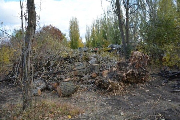 Реконструкция парка к 80-летию Победы. Деревьев всё меньше, &laquo;экотропа&raquo; не готова, зима близко