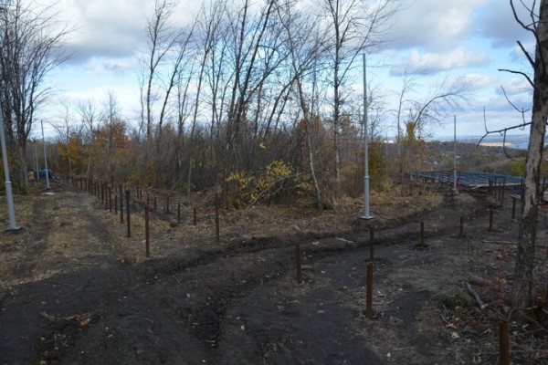 Реконструкция парка к 80-летию Победы. Деревьев всё меньше, &laquo;экотропа&raquo; не готова, зима близко
