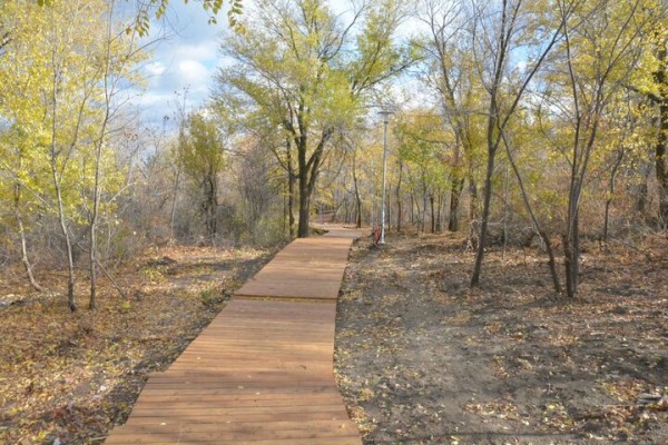Реконструкция парка к 80-летию Победы. Деревьев всё меньше, &laquo;экотропа&raquo; не готова, зима близко