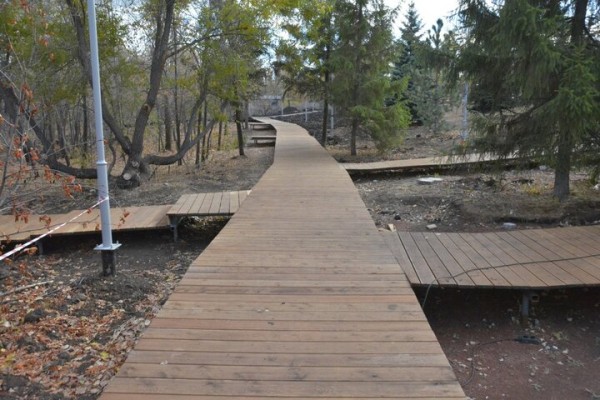 Реконструкция парка к 80-летию Победы. Деревьев всё меньше, &laquo;экотропа&raquo; не готова, зима близко