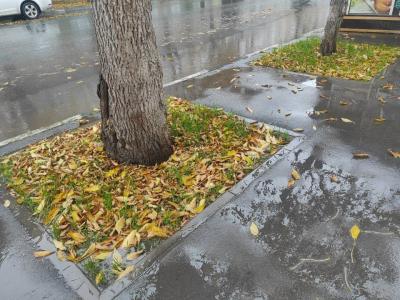 
Саратовцев всю неделю ждет теплая погода					