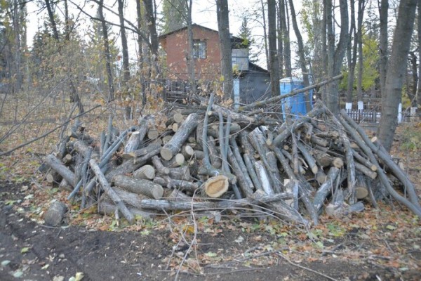 Реконструкция парка к 80-летию Победы. Деревьев всё меньше, &laquo;экотропа&raquo; не готова, зима близко