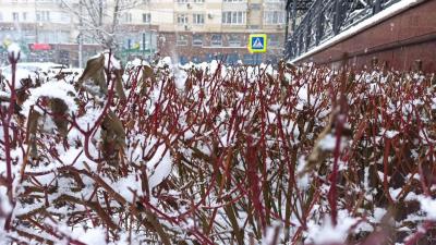 
В Саратовской области в последний день октября пройдет снег					
