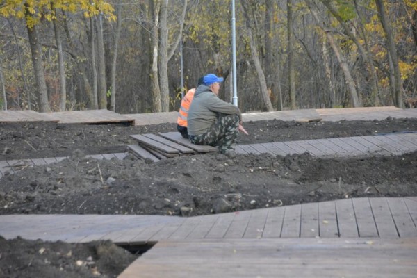 Реконструкция парка к 80-летию Победы. Деревьев всё меньше, &laquo;экотропа&raquo; не готова, зима близко
