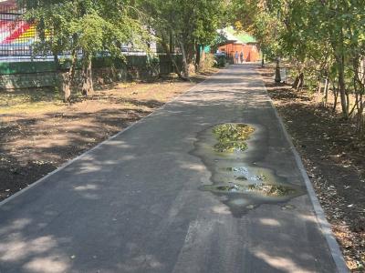 
В Саратове прокуратура начала проверку качества ремонта сада "Липки"					