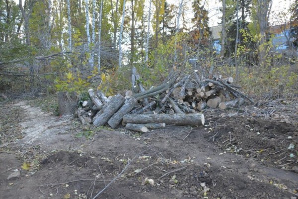 Реконструкция парка к 80-летию Победы. Деревьев всё меньше, &laquo;экотропа&raquo; не готова, зима близко