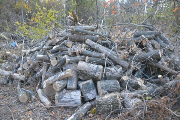 Реконструкция парка к 80-летию Победы. Деревьев всё меньше, &laquo;экотропа&raquo; не готова, зима близко