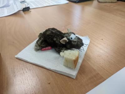 
В Саратовской области двое жителей заболели мышиной лихорадкой					