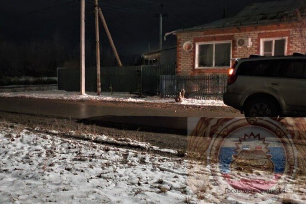 Под колёсами автомобиля в Дергачах скончался пешеход