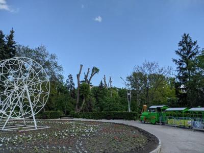 Директор арендатора Горпарка в Саратове на суде задумался о полной вырубке деревьев
Директор арендатора Горпарка в Саратове на суде задумался о полной вырубке деревьев