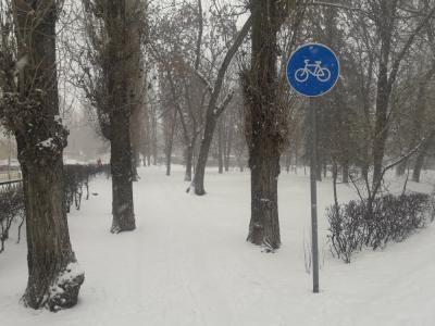 Саратовцам прогнозируют снегопады и метели
Саратовцам прогнозируют снегопады и метели