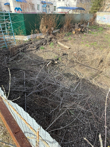 Изнанка образования семь лет спустя: кошмары школы-памятника в Саратове скрыли за забором (фото и видео) Изнанка образования семь лет спустя: кошмары школы-памятника в Саратове скрыли за забором (фото и видео)