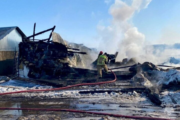 Масштабный пожар в Энгельсском районе: пламя перекинулось с частного дома на офисное здания Масштабный пожар в Энгельсском районе: пламя перекинулось с частного дома на офисное здания