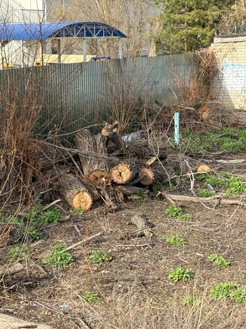 Изнанка образования семь лет спустя: кошмары школы-памятника в Саратове скрыли за забором (фото и видео) Изнанка образования семь лет спустя: кошмары школы-памятника в Саратове скрыли за забором (фото и видео)