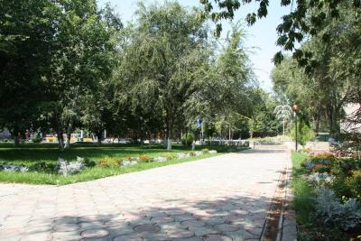 
В Саратове потеплеет до +14 градусов					