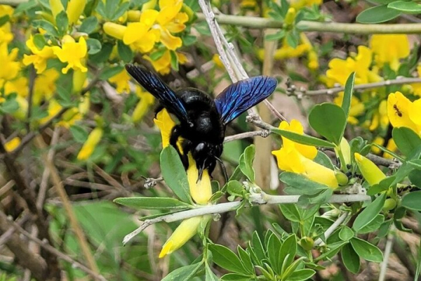 В Саратовской области потеплеет до плюс 27 градусов, но сохранится сильный ветер