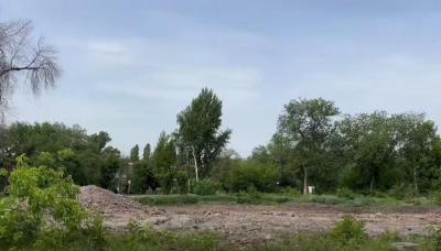 
В Летном городке создадут экопарк с 300 деревьями и 2 тысячами кустарников					